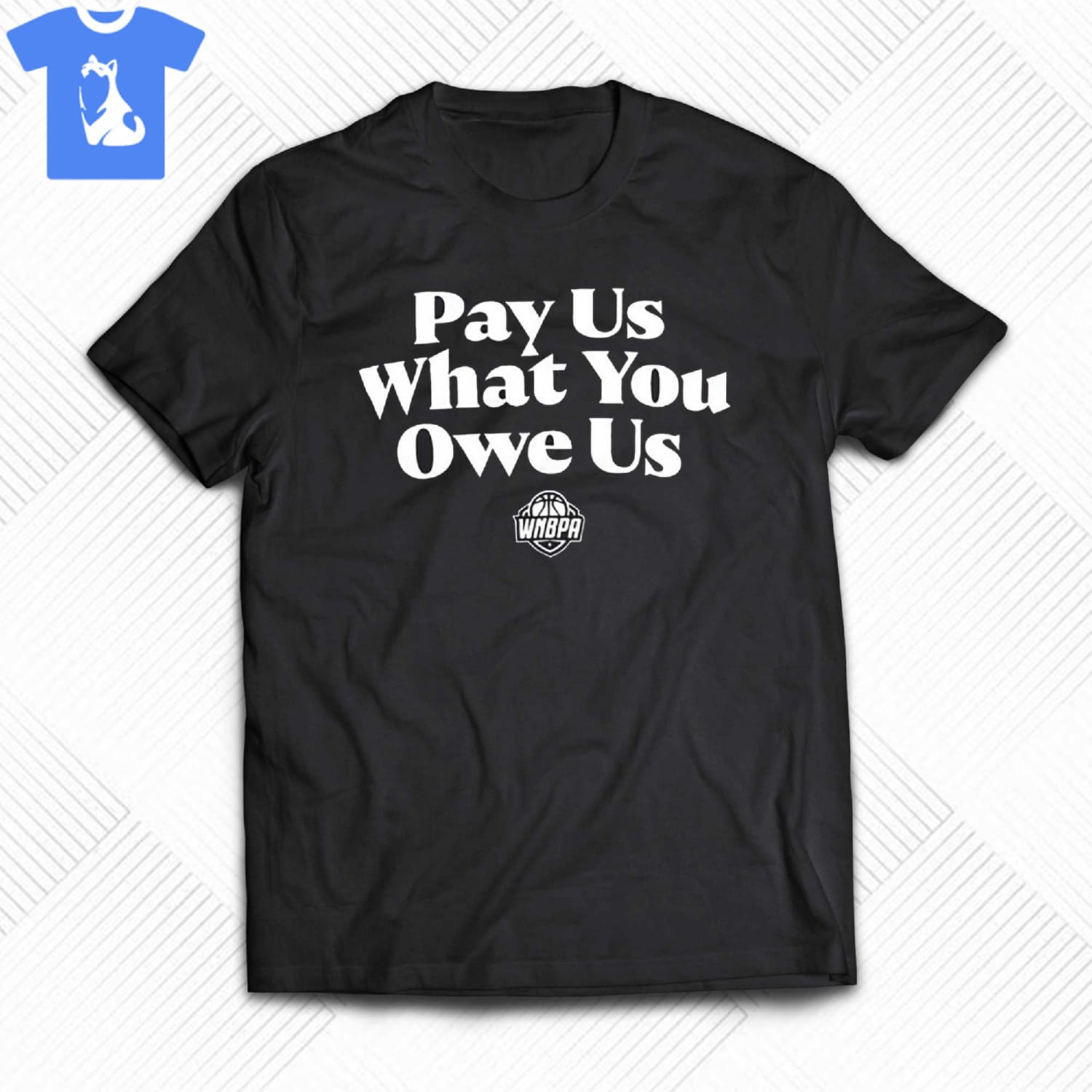 Pay Us What You Owe Us Wnbpa T-shirt Hoodie Sweater