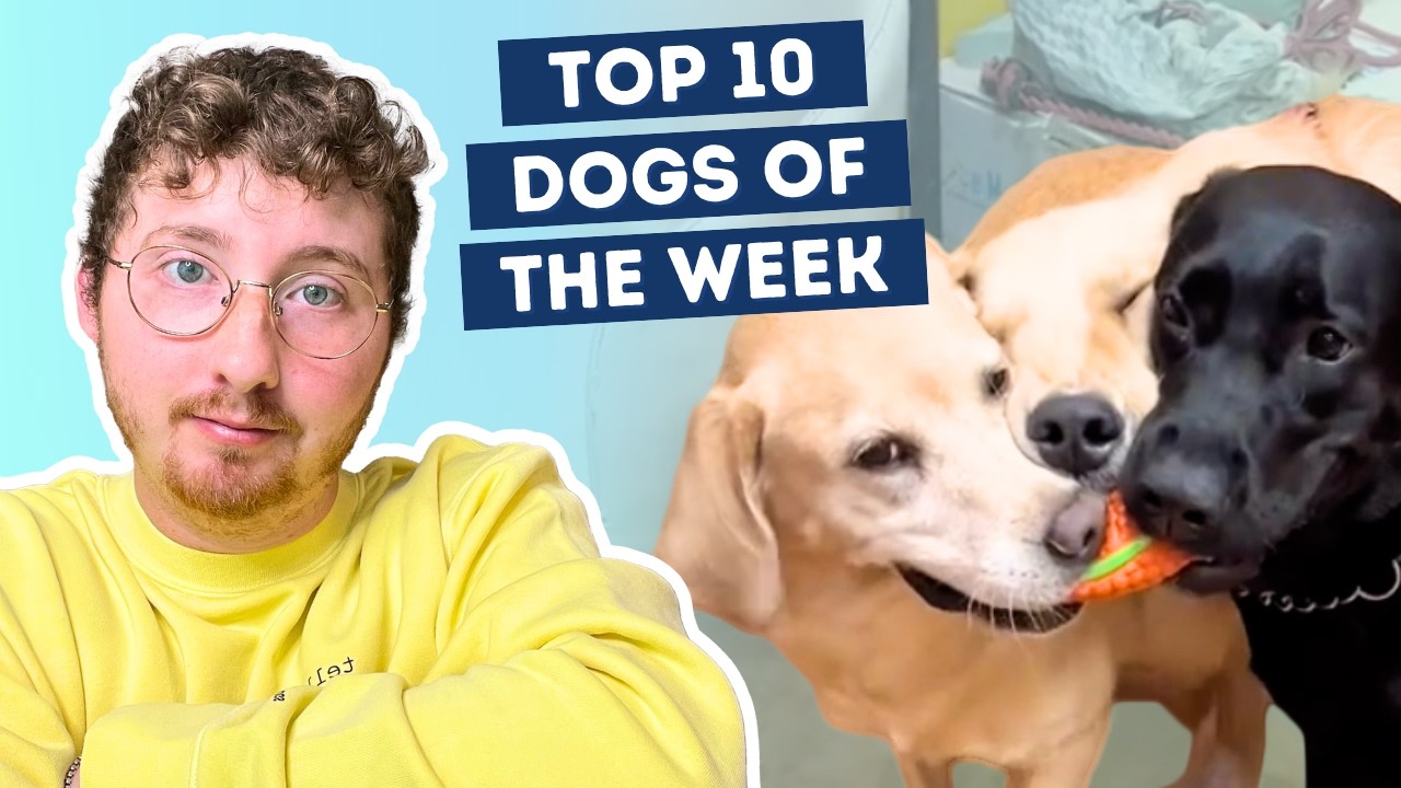 Wearing Your Heart on Your Sleeve: The 