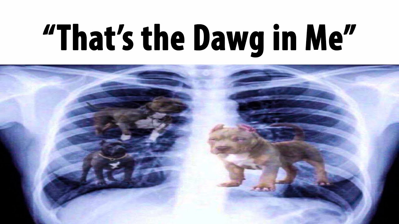 i got that dog in me shirt